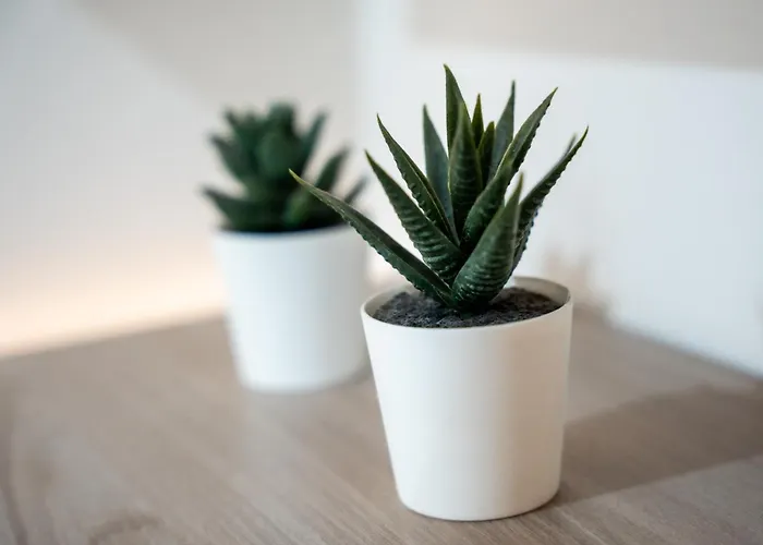 Casetta Cavaliere - Tra Centro E Lungomare Catania